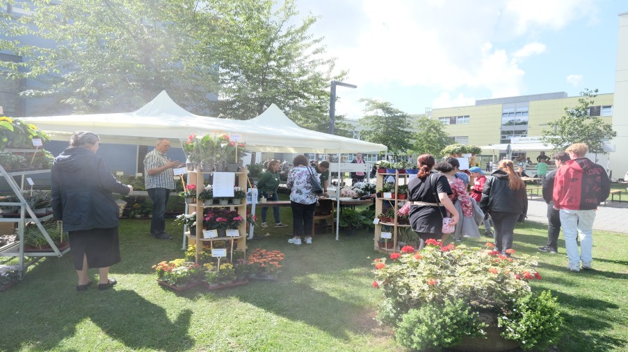 Blumenverkaufsstand beim Tag der offenen Tür in der LVR-Klinik Düren