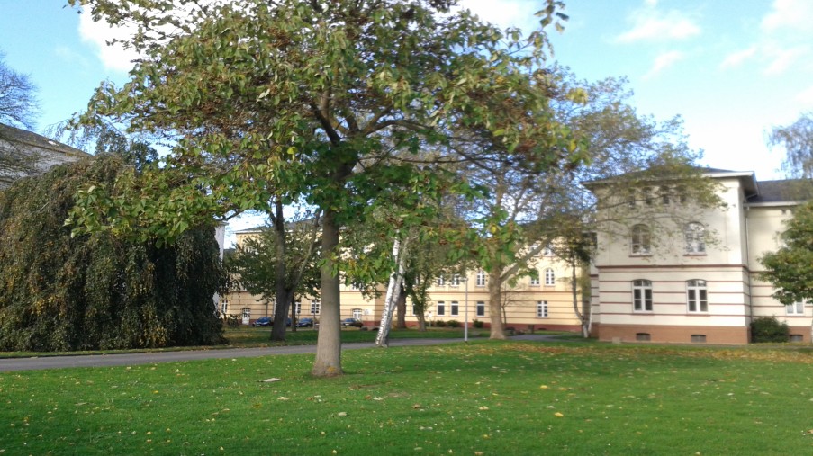 Sicht auf das Hauptgebäude mit Bäumen
